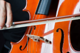 Cello